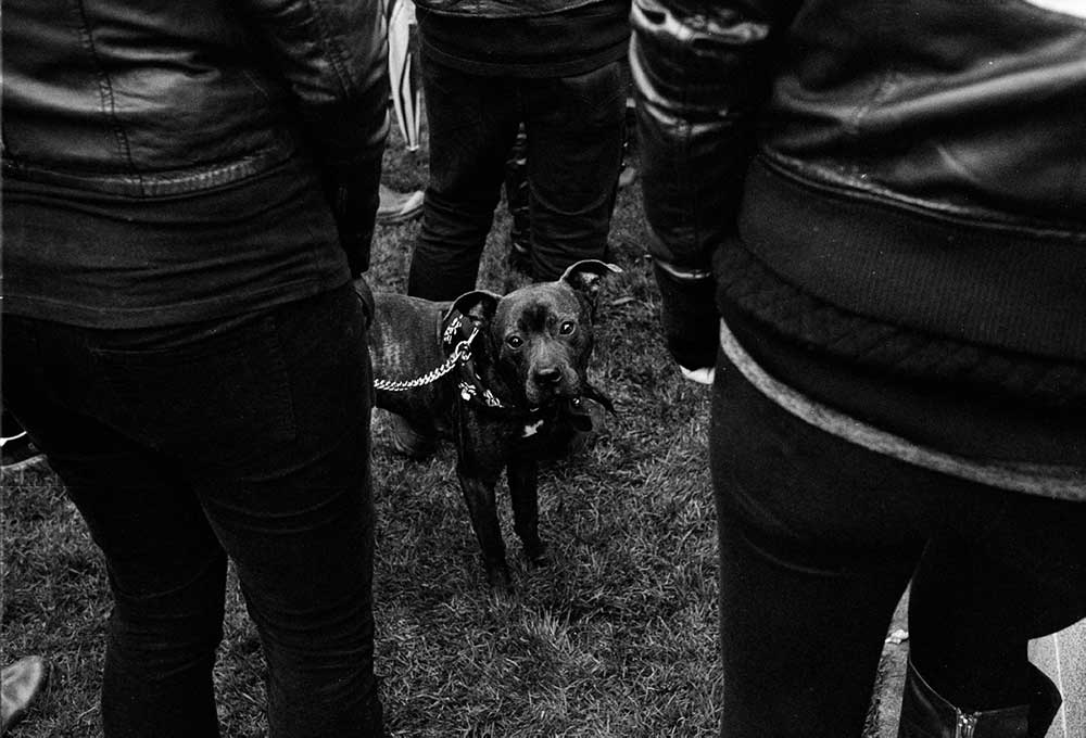 photo